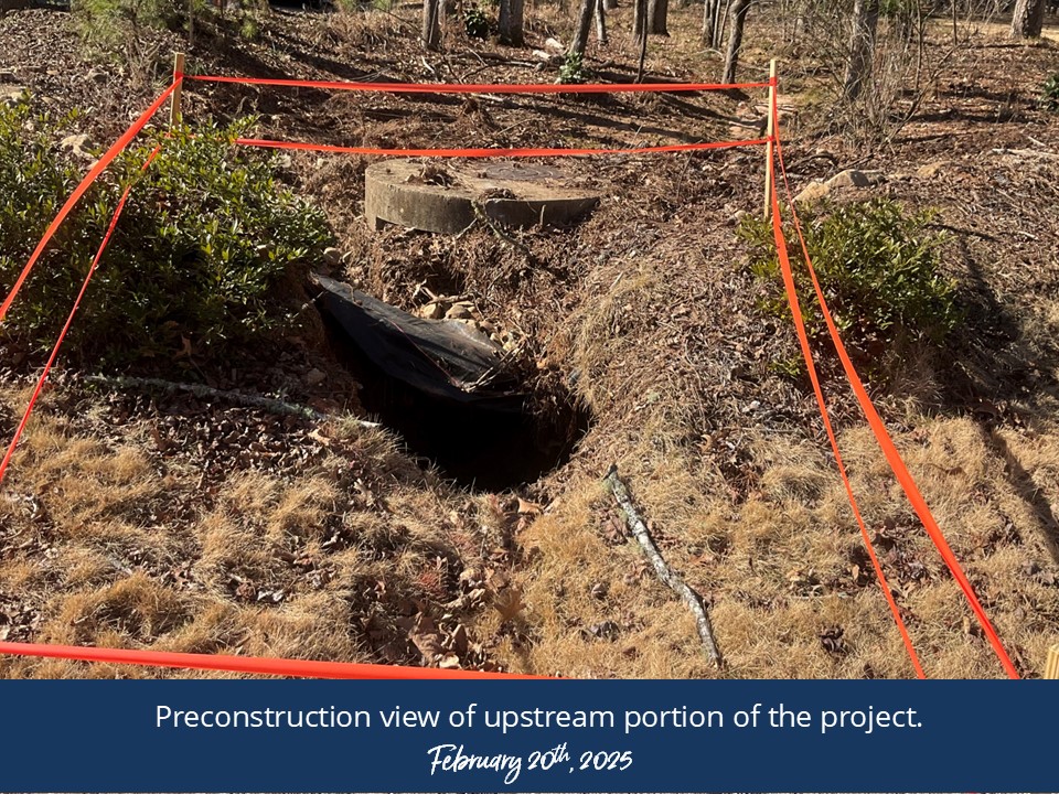 20250220-20sae-old-ivy